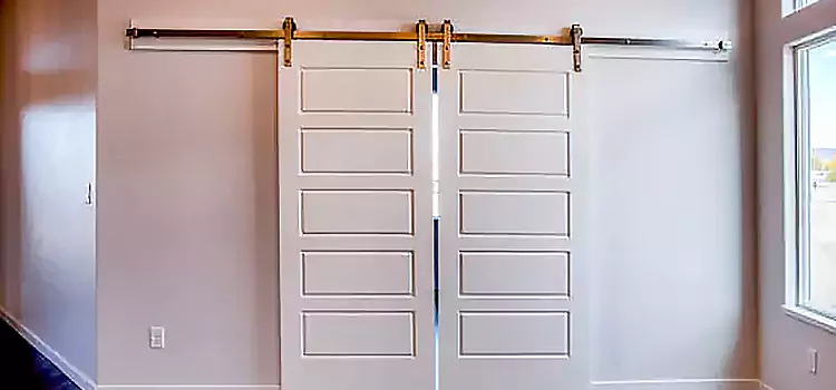 Glass Barn Door with Installation Hardware Kit The Colony