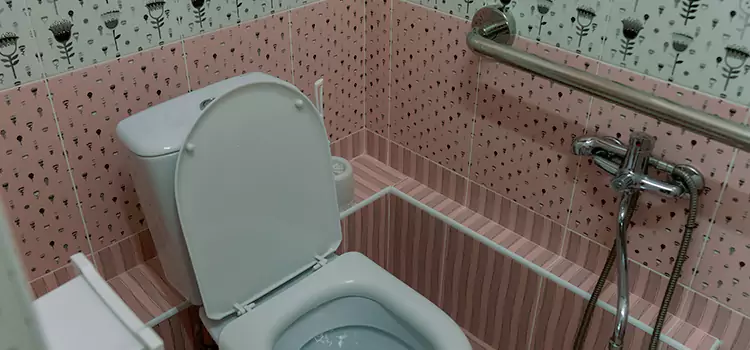 Meeting Diverse Needs With Accessible Restroom Solutions in The Colony, TX